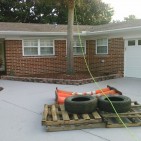 Jacksonville Palm Tree Removal