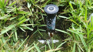 bad sprinkler job